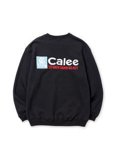 CAL_20250207_47.jpg