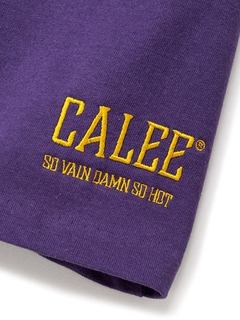 cal_20250422_60.jpg