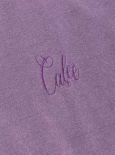 cal_20250422_72.jpg